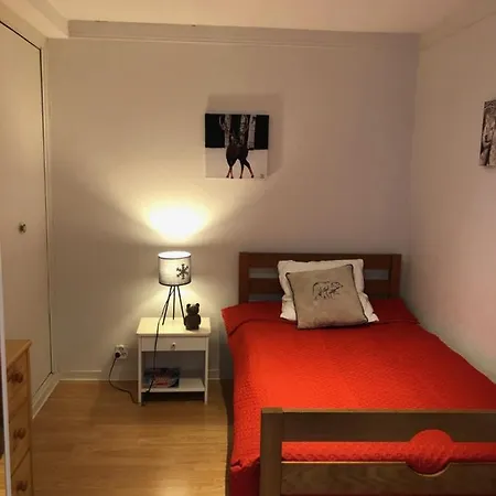 Le Perce Neige - Plein Centre - Avec Parking Apartman