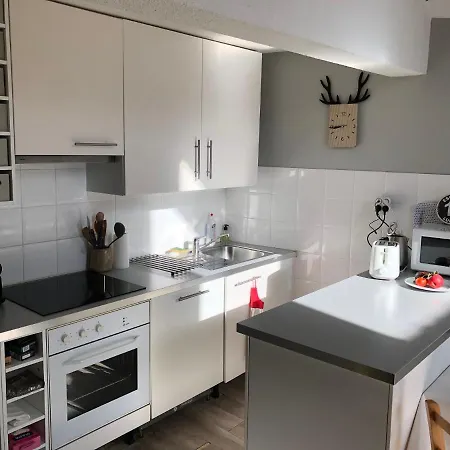 Le Perce Neige - Plein Centre - Avec Parking Апартаменты