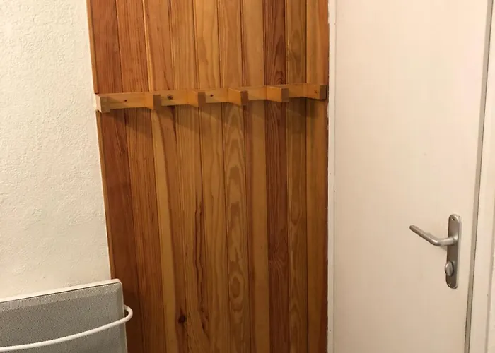 Le Perce Neige - Plein Centre - Avec Parking *